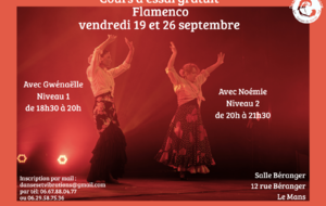 Cours d'essai danse Flamenco