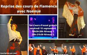 Cours d'essai Flamenco Niveau1