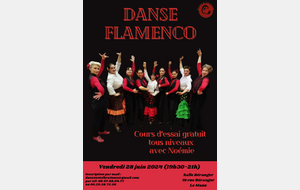 Cours d'essai Danse Flamenco