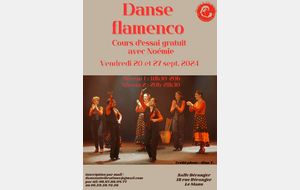 Cours d'essai Flamenco Niv1